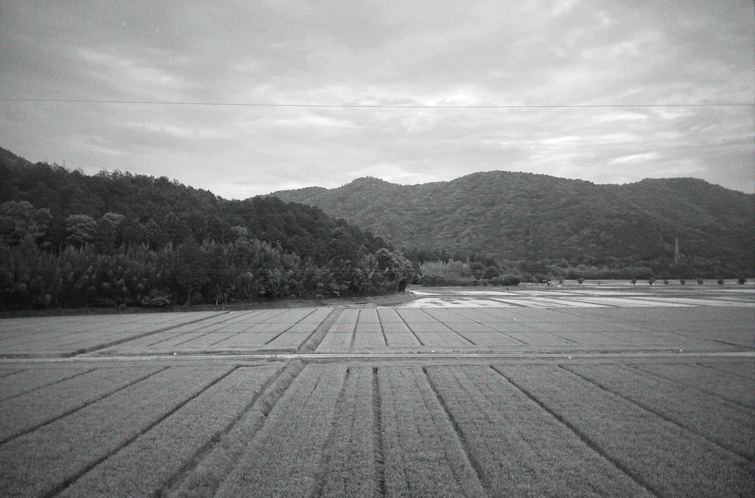 Image 1 from Color Fields and Lines by Nansong Ho. Copyright © 2024 - 2025 Nansong Ho
