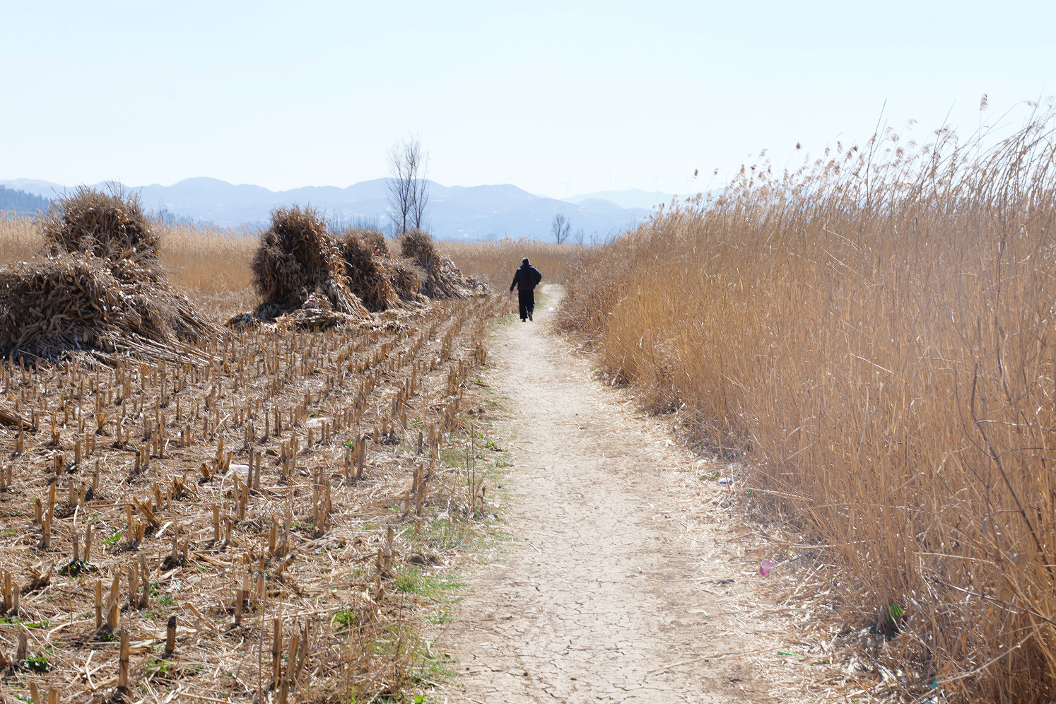 Image 16 from Guizhou II by Nansong Ho. Copyright © 2025 - 2026 Nansong Ho
