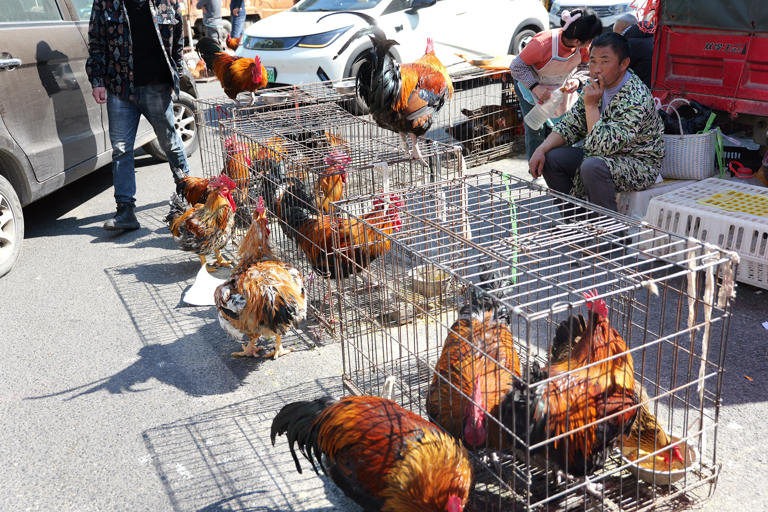 Image 4 from Guizhou II by Nansong Ho. Copyright © 2025 - 2026 Nansong Ho