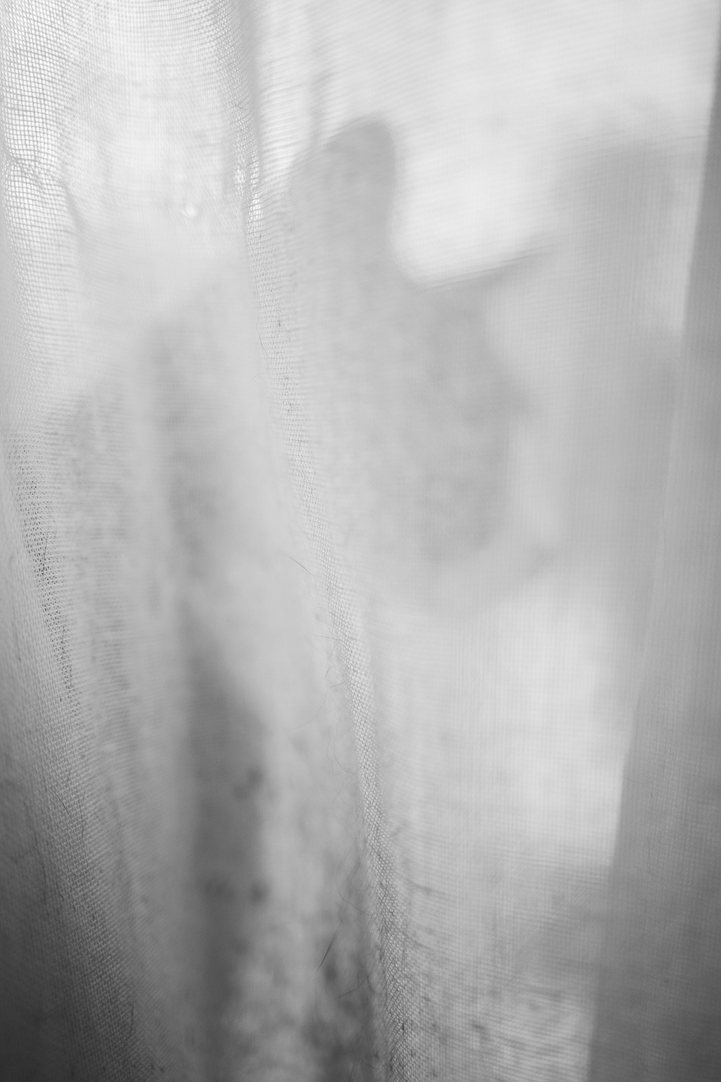 Image 9 from Kabu Wei II by Nansong Ho. Copyright © 2025 - 2026 Nansong Ho