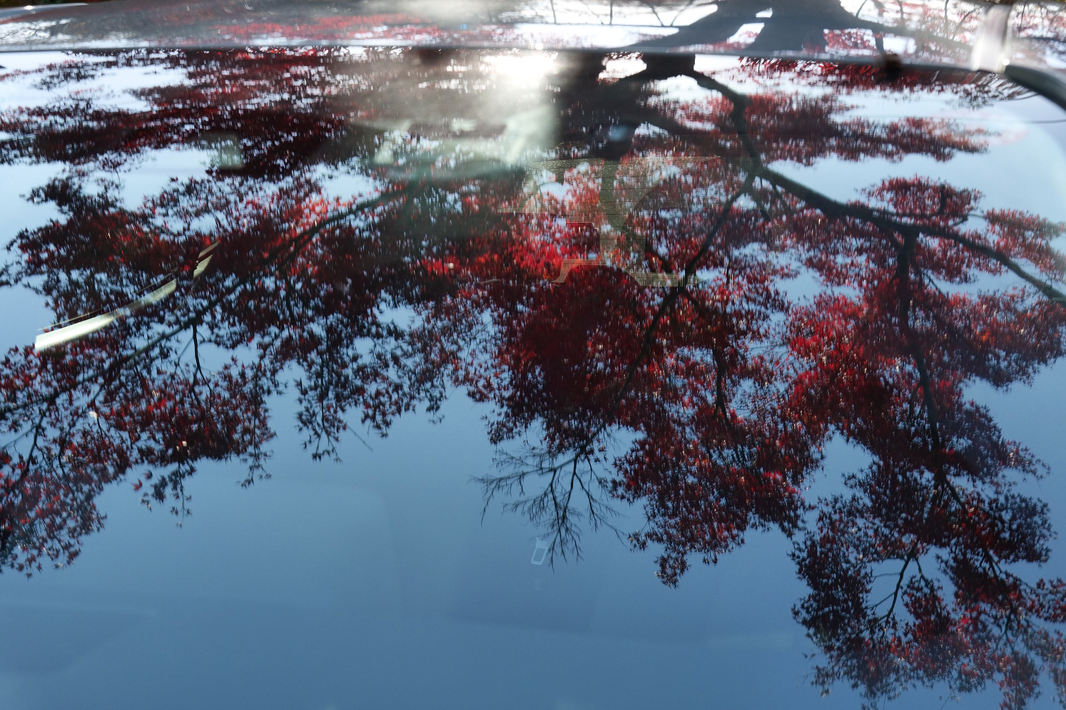 Image 9 from Where Things Grow by Nansong Ho. Copyright © 2024 - 2026 Nansong Ho